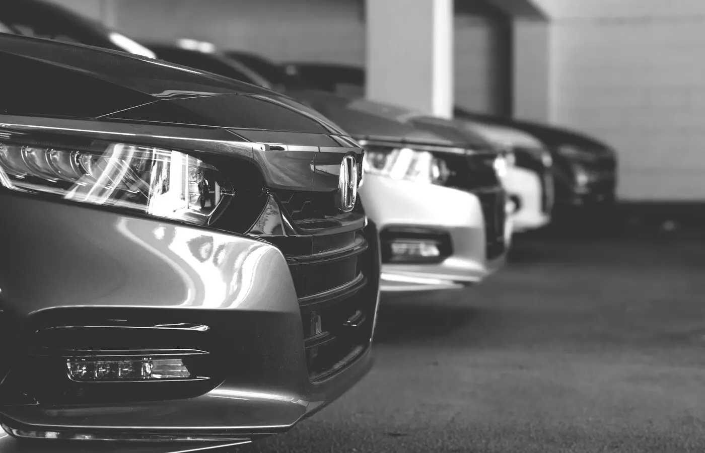 Modern vehicle fleet prepared for commercial rental operations.